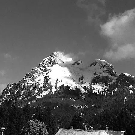 Living Mountain *