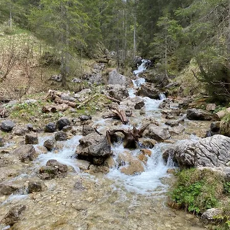 Apartamento Living Mountain Tannheim