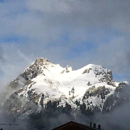 Living Mountain Apartamento Tannheim